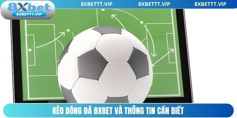 Thông tin cơ bản về kèo bóng đá 8xbet