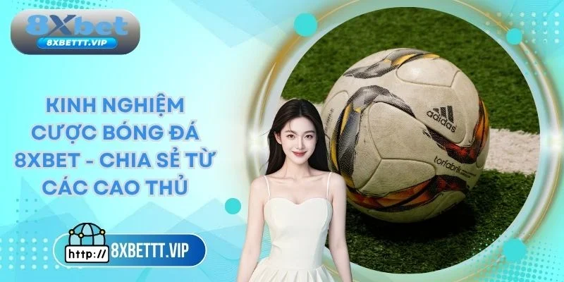 Kinh nghiệm cược bóng đá 8xbet